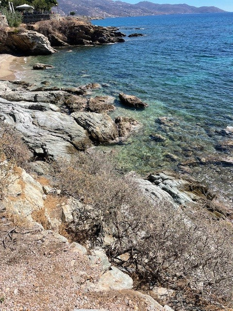NEREUS