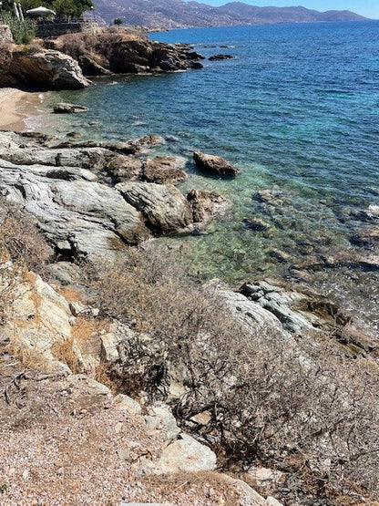 NEREUS